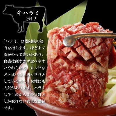 プレミアム極厚ハラミステーキ【熟成醤油だれ】1kg (K12-003)【配送不可地域：離島】【1405377】
