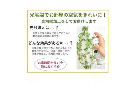 【ホワイト】【完成品】 流れるアイビーとラナンキュラス ｢ スイング ガーデン リース ｣