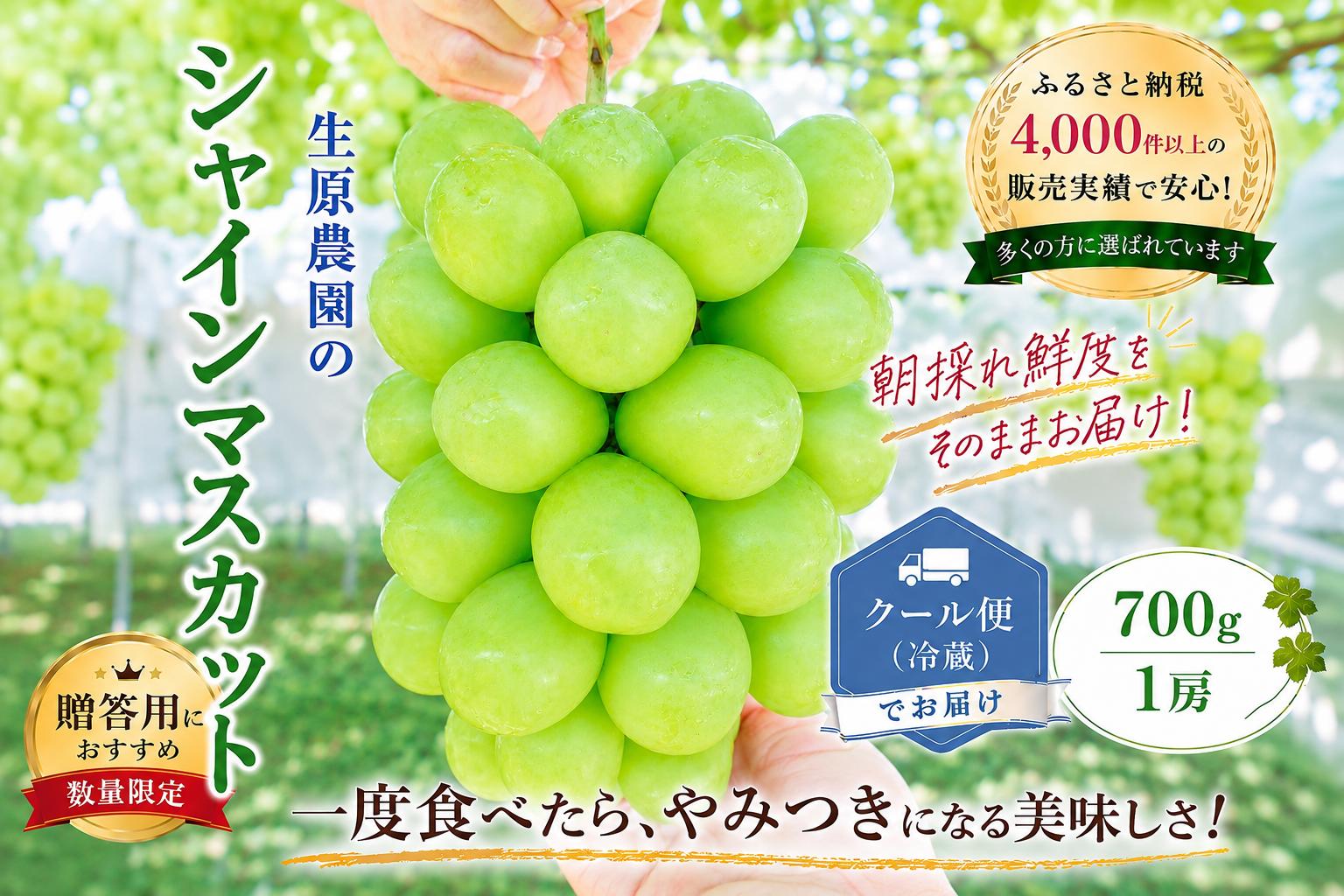 
                  【2026年発送★先行予約】フルーツ王国笛吹市の【大粒】シャインマスカット1房700g以上 137-002-26y   山梨 笛吹市 山梨県産 シャインマスカット 高レビュー 数量限定 冷蔵配送 クール便 
                