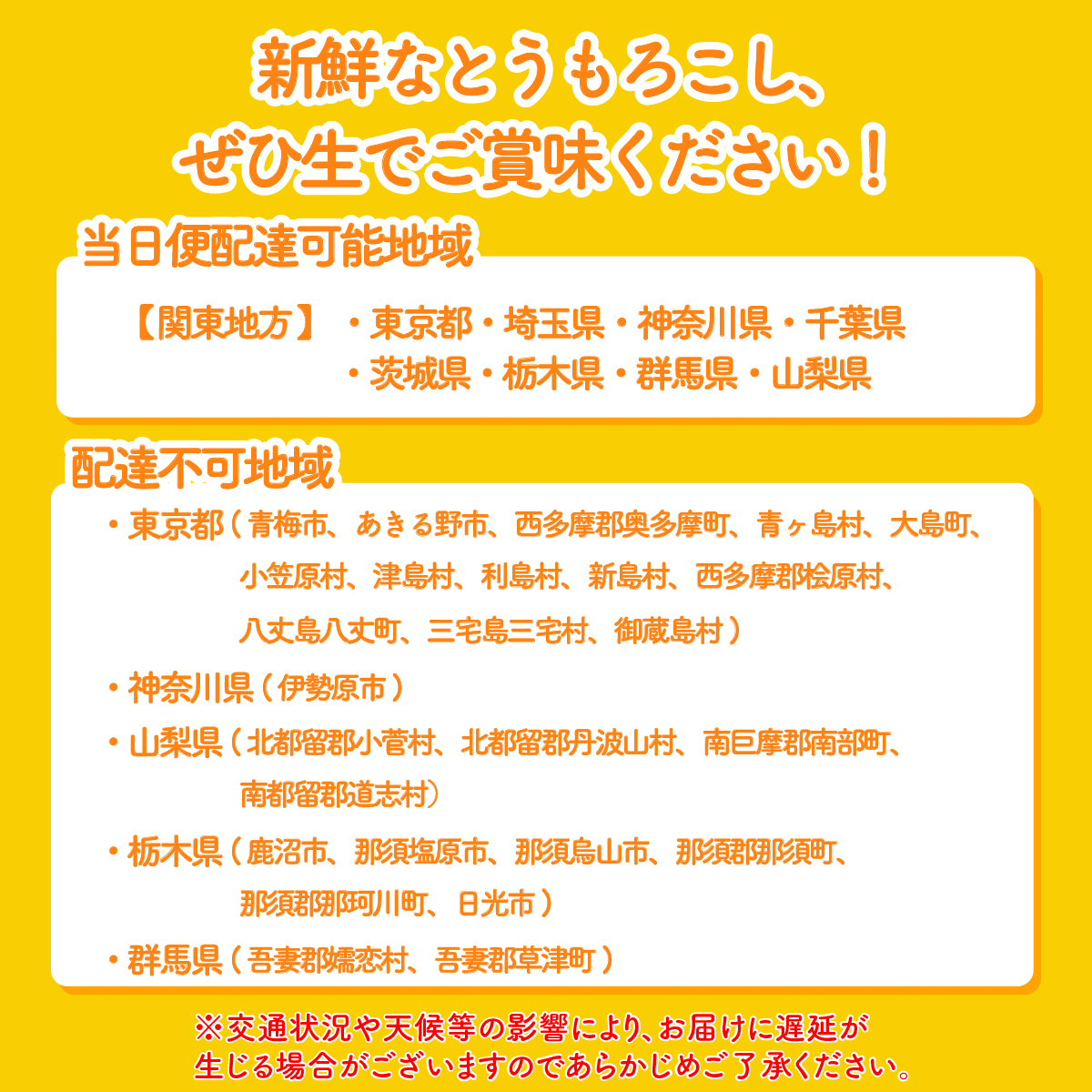 【関東+山梨県 限定当日便】【先行予約 2026年6月中旬以降発送 】 【 令和8年産 】 深夜採り 朝出荷 とうもろこし （ ゴールドラッシュ ） 約6kg トウモロコシ スイートコーン コーン 野