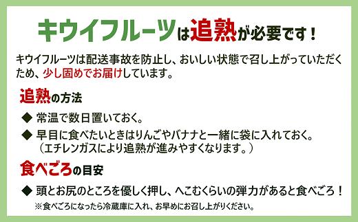 【2026年先行予約】キウイ バラ詰め 2kg  ご家庭用 農園直送 先行予約 【10月中旬から順次発送予定】 キウイフルーツ 愛媛 数量限定  伊予市｜A126