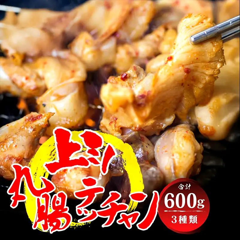 厳選 ホルモン 欲張りセット 600g 小腸 / 上ミノ / テッチャン 各200g