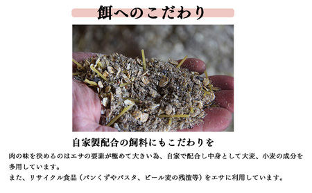 無添加 5大アレルゲン不使用 ばあく豚 焼肉 とソーセージ BBQ セット | 肉 にく ニク お肉 焼肉 奈良県 五條市 手作り 無添加 奈良県 金剛山麓 冷凍 甘味 お取り寄せ グルメ 送料無料 