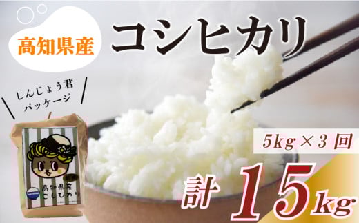 【早期予約】【3回定期便】 数量限定 新米 コシヒカリ 計15kg 令和7年 5kg×3回 白米 精米 米 こしひかり ブランド米 国産 高知県 須崎 しんじょう君 産地直送 NF1000