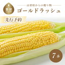 【ふるさと納税】【2025年 先行予約】山梨県都留市産 ゴールドラッシュ 7本｜送料無料 とうもろこし トウモロコシ コーン 野菜 甘い 産直 大好評 とれたて 炭野菜