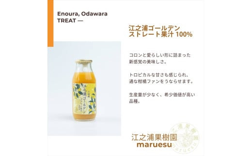 小田原産江之浦みかんジュース5種のみくらべ10本セット うんしゅう・しらぬい・ゴールデン・なつみ・バレンシアオレンジ100%ストレートジュース180ml各2本合計10本
