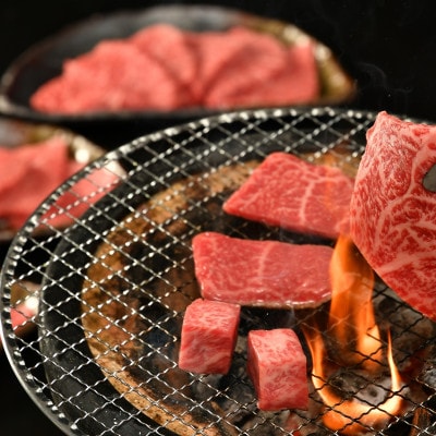 松阪牛焼肉用(肩・モモ・バラ)200g【配送不可地域：離島】【1494008】