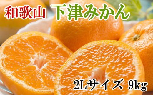 
【産直・秀品】和歌山下津みかん　9kg(2Lサイズ) ※2024年11月中旬～2025年1月中旬頃に順次発送【tec869】
