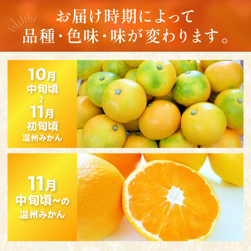 【0057-4】「濃厚な味のとろける美味しさ」温州みかん 5kg《先行予約》