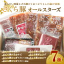 【ふるさと納税】 さくら豚オールスターズ ふるさと納税 豚肉 肉 加工品 カルビ ジンギスカン ぎょうざ 餃子 コロッケ 国産 北海道 大空町 送料無料 OSA009