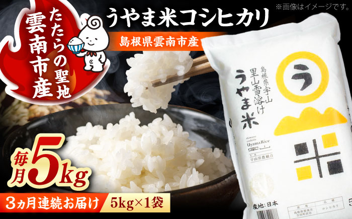 【全3回定期便】【令和8年産】神話の里/吉田町「うやま米」コシヒカリ 5kg（5kg×1） [AIDB077-r8]