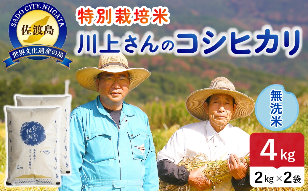 
                  令和8年産 佐渡島産川上さんのコシヒカリ 無洗米4kg 特別栽培米 | 新潟県産コシヒカリ 新潟産コシヒカリ 佐渡産コシヒカリ コシヒカリ 特別栽培米 お米 米 無洗米 むせんまい おこめ コメ 4キロ にいがた さど 新潟県 佐渡市
                