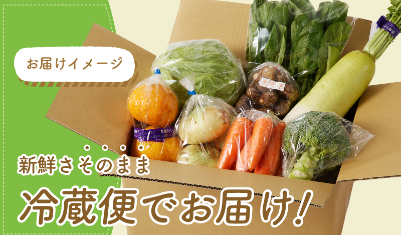 10種類の新鮮野菜 定期便 全6回 詰め合わせ 国産 冷蔵発送 半年【毎月配送コース】 099Z186