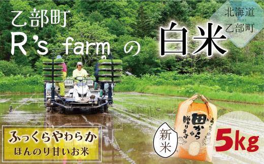 ＜北海道の米（５kg）～ふっくらつややか！若い農家が作る新米～＞米 国産米 北海道 道産 道産米