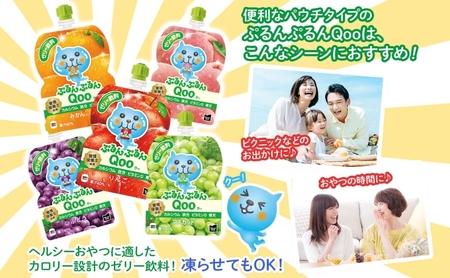 定期便 3ヵ月 ゼリー ミニッツメイド ぷるんぷるん Qoo りんご 125g 30本入 コカ・コーラ クー パウチ飲料 ゼリー飲料 リンゴ おやつ 子ども ヘルシー ダイエット 低カロリー 備蓄 防