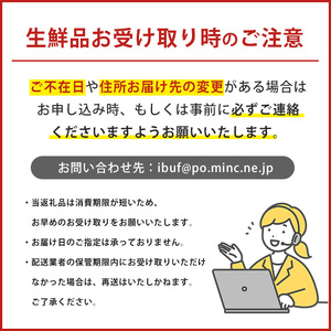 【2026年発送】完熟 指宿産 マンゴー 約800g 前後 2～3個入 中園久太郎商店 016-1758 マンゴー フルーツ 果物