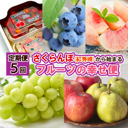 【定期便5回】さくらんぼ(紅秀峰)から始まるフルーツの幸せ便 【令和8年産先行予約】FS25-626