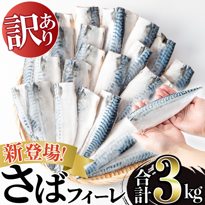 No.1383-C 訳あり！無塩とろさばフィーレ(約3kg) 干物 さば サ