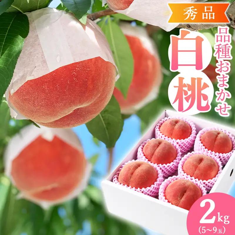【ふるなびWEEK対象】有機質肥料栽培 白桃 2kg（5～9玉） 秀品 品種おまかせ 山形県産 【2026年8月下旬頃～9月下旬頃発送予定】令和8年産　010-B-AF007