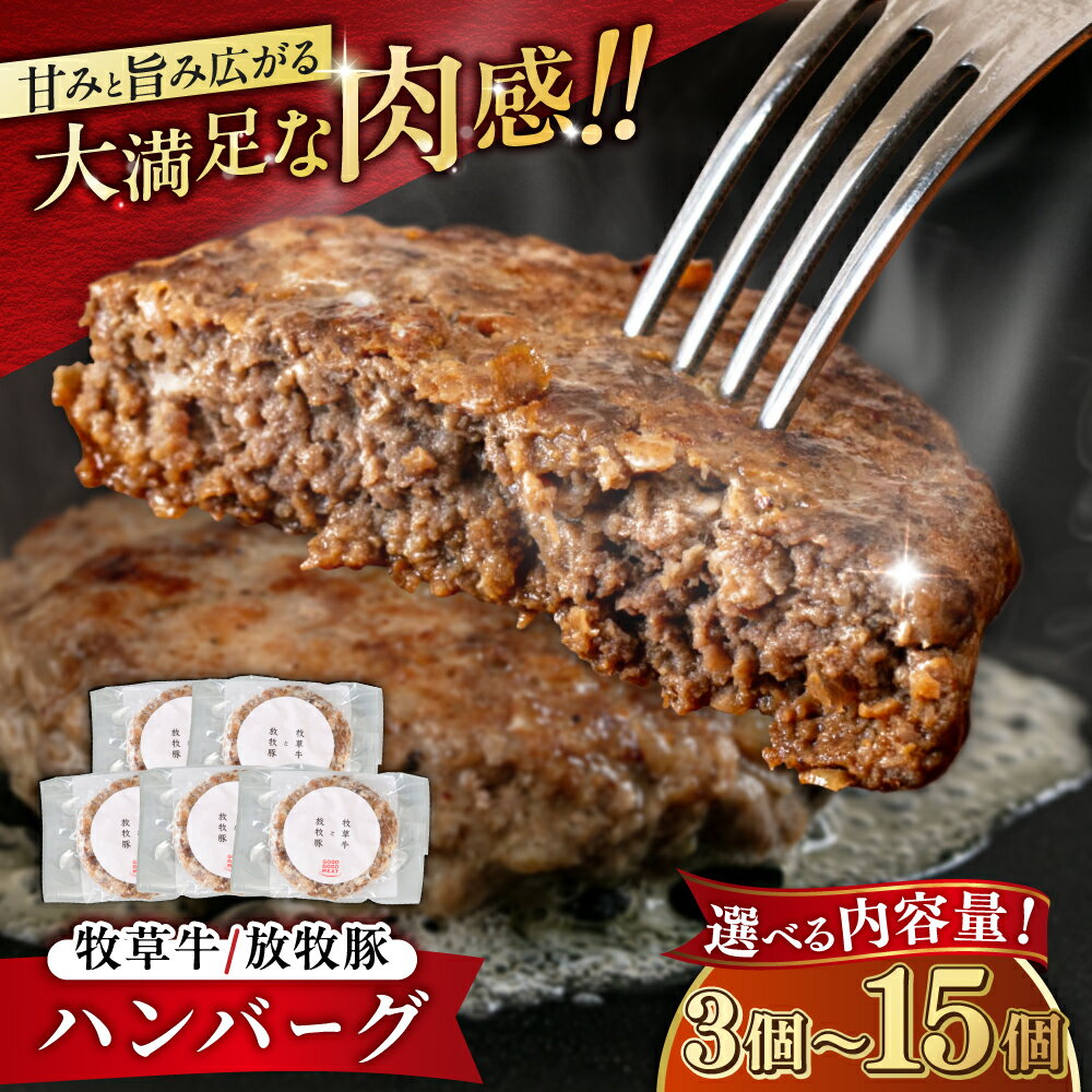 【ふるさと納税】【お中元対象】【牧草牛×放牧豚】ハンバーグ 3～15個 《厚真町》【GOODGOOD株式会社】 ハンバーグ 牛肉 豚肉 小分け 冷凍配送 北海道[AXBP006/AXBP007/AXBP008/AXBP013]
