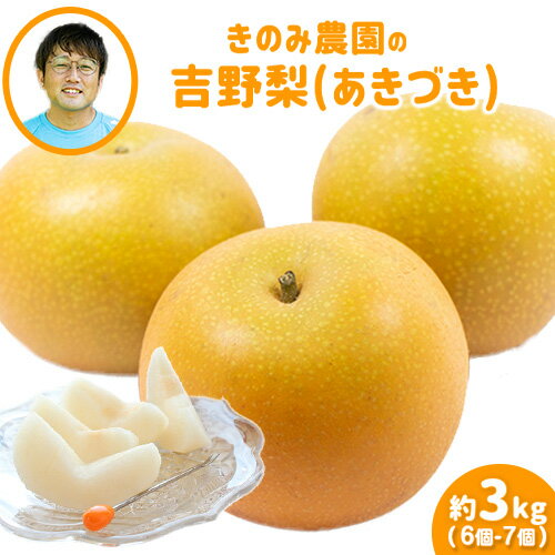 【ふるさと納税】きのみ農園の吉野梨(あきづき) 約3kg 熊本県氷川町産 きのみ農園 梨 なし 果物 旬の梨《8月中旬-9月上旬頃出荷》