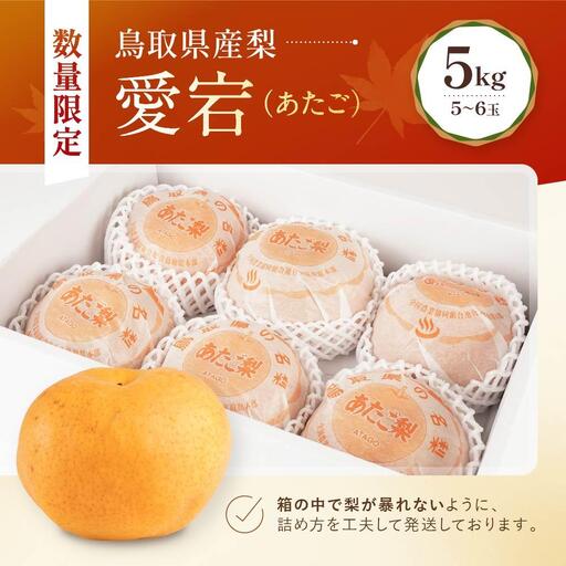 数量限定 鳥取県産梨 愛宕（あたご） 5kg（5～6玉）