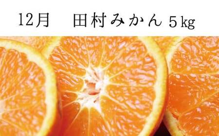 かき 柿 みかん 柑橘 フルーツ 果物 定期便 /【全3回定期便】秋の味覚 果物定期便　柿・みかん　旬のフルーツを毎月お届け♪【tkb130】