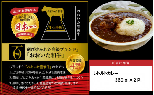 おおいた和牛の贅沢カレー 2パック（1725R）