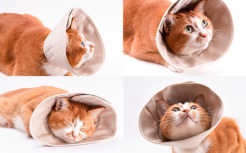 ぽぽねこ 軽くて柔らかい猫用エリザベスカラー