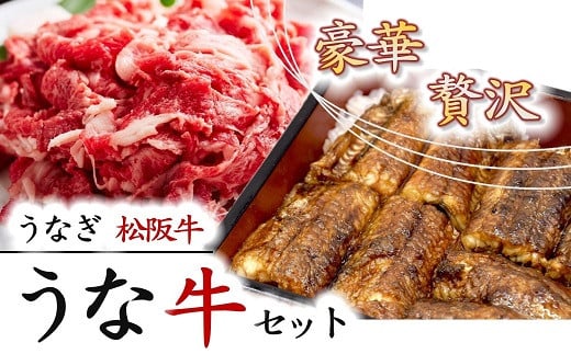 
                  【数量限定】豪華！松阪牛と鰻の贅沢うな牛セット【2-140】
                