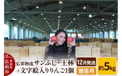 【25年12月発送】りんご 贈答用 サンふじ・王林＋文字絵入りりんご1個 約5kg
