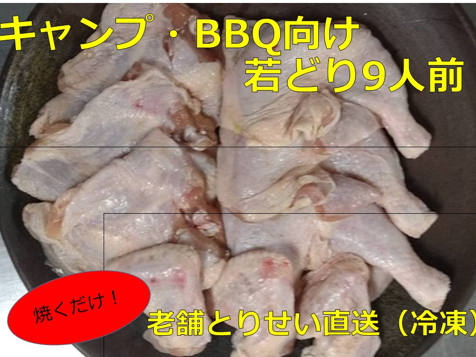 
とりせい　味付き若どり　9人前セット(冷凍)【C016-1-1】
アウトドア・キャンプ・バーベキュー
