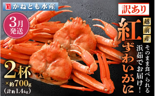 【訳あり】≪浜茹で≫越前産 紅ずわいがに 約700g × 2杯 食べ方しおり付【紅ズワイガニ カニ かに 蟹 姿 ボイル 冷蔵 福井県】【3月発送分】希望日指定不可 [e14-x025_03] 