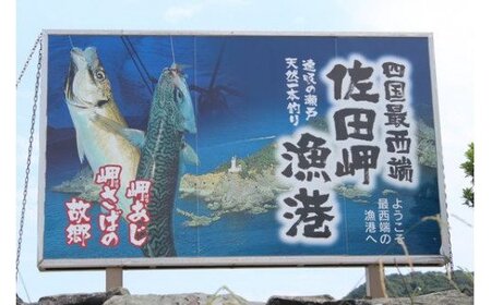 【数量限定】佐田岬海士のあわび・さざえセットB ※北海道・東北地方・沖縄・離島への配送不可 【 あわび 鮑 赤あわび アワビ さざえ サザエ 】 IKTJ002