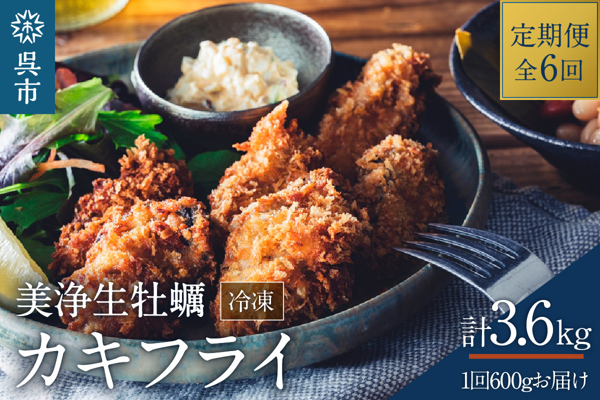 
【定期便 6か月】中野水産 美浄生牡蠣 冷凍カキフライ
