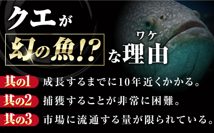 【全6回定期便】対馬 産 クエ 鍋 セット 600g (2〜3人前)《対馬市》【対馬地域商社】九州 長崎 海鮮 [WAC034]冷凍 新鮮 くえ 鍋セット 海の幸 クエ 下処理 冷凍 新鮮 小分け 海