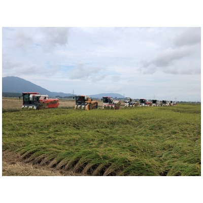 令和7年産弥彦村産みずほの輝き 10kg(5kg×2) 新潟県産米 大粒 冷めても美味しい 弥彦村産【1135882】