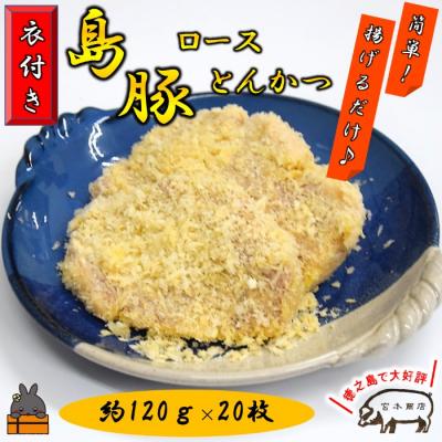 ふるさと納税 徳之島町 〜真面目に島育ち〜豚肉屋が作るこだわりのロースとんかつ【衣付き】(約2.4kg)