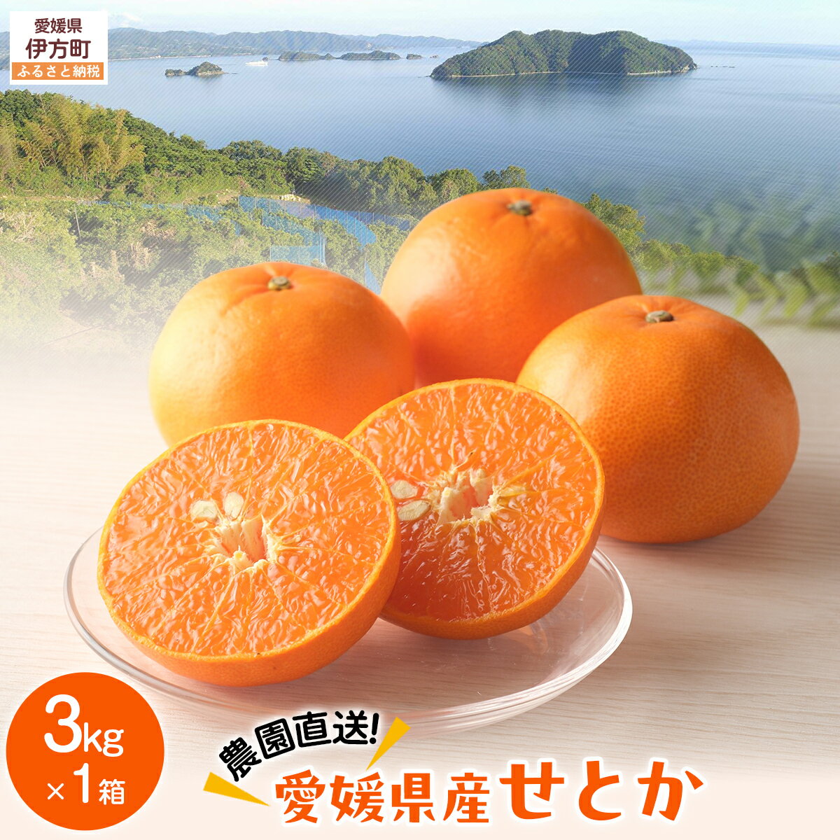 【ふるさと納税】【先行予約】【数量限定】＼農園直送／愛媛県産せとか3kg×1箱（2026年2月下旬より順次発送） 【ふるさと納税 人気 おすすめ ランキング 柑橘 みかん ミカン 蜜柑 せとか 果物 フルーツ 柑橘の大トロ 農園直送 産地直送 岡市農園 愛媛県産 愛媛 】 IKTV007