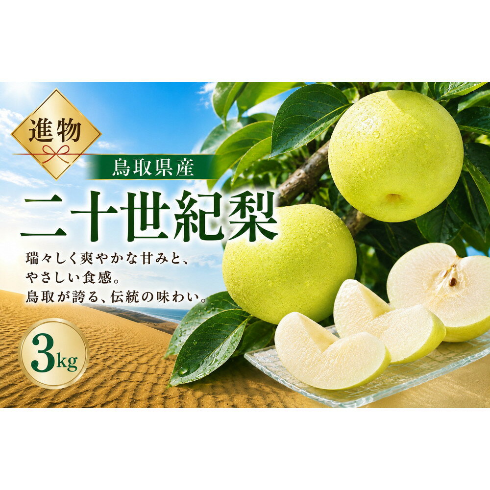 【ふるさと納税】山根農園 二十世紀梨 3kg【2026年8月下旬以降発送】 | フルーツ 果物 くだもの 食品