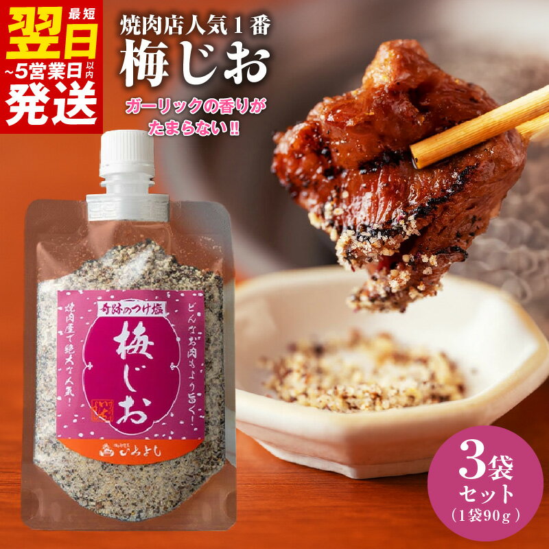 【ふるさと納税】＼最短翌日～5営業日以内発送／ 焼き肉専門店 スパイス 梅じお ガーリック 90g×3袋 梅 うめ塩 お試し 調味料 つけ塩 簡単 人気 BBQ アウトドア 焼肉 やきにく 炒め物 キャンプ お取り寄せ グルメ さっぱり 料理 家庭用 大阪府 泉佐野市 送料無料