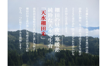 【令和7年産新米予約】とやの里山越光農園「天水棚田米」南魚沼塩沢産コシヒカリ　精米10kg(5kgx2)x全1回【2025年12月下旬より順次発送予定】