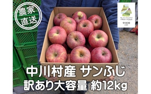 担当者おすすめ「味覚の里なかがわ」の旬のくだもの（サンふじ約12Kg りんご訳あり 不揃い バラ詰め 大容量10kg以上）