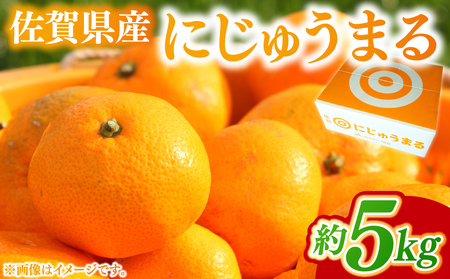 【2027年3月以降発送】佐賀県産にじゅうまる 5kg / 佐賀県 / ふるさとの恵み [41AQAA059]