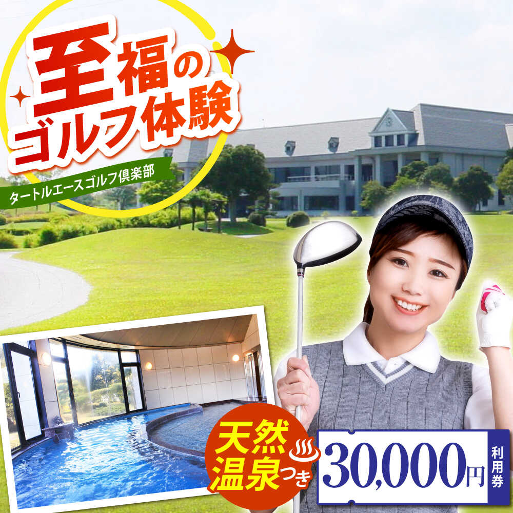 【ふるさと納税】タートルエースゴルフ倶楽部 ゴルフ場利用券 30,000円分 / ゴルフ場 ゴルフ golf GOLF ごるふ チケット ちけっと 利用券 プレー券 体験 / 亀山市 / ダイワロイヤルゴルフ株式会社[AMBP003]