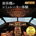 【ふるさと納税】羽田空港　LUXURY FLIGHT　旅客機のシミュレーター体験45分プラン(1名様) 体験 チケット 飛行機 旅客機 操縦 パイロット シミュレーター 空港 羽田 大田区