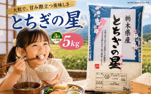 【定期3回】新米 令和8年度 栃木県産 とちぎの星 白米 5kg | ふるさと 納税 お弁当 お米 精米 美味しい 白米 つやつや とちぎ 大粒 共通返礼品 送料無料 那珂川町 栃木県【栃木県共通返礼品】
