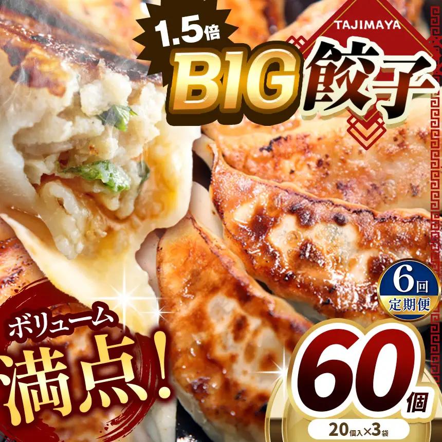 【定期便6回】たじまや オリジナル ビッグ 餃子  60個 