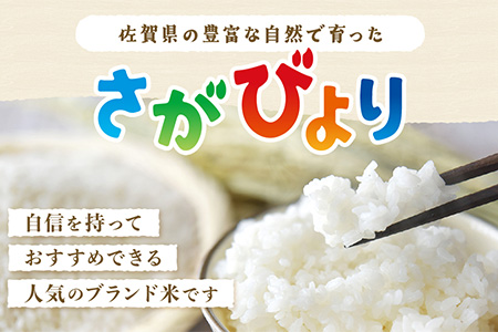 さがびより 新米 定期便 3ヶ月 佐賀県産 白米 5kg《3ヶ月連続 毎月お届け》D-63 3回 令和7年産 白米5kg×3回定期便