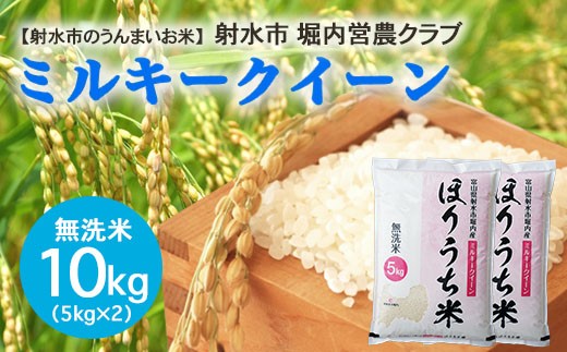 
                  【射水市】【射水の美味しいお米】ほりうち米R8年度産ミルキークイーン10kg（5kg×2）【無洗米】｜米 こめ コメ ミルキークイーン ミルキークィーン ブランド米 銘柄米 人気 ランキング 富山 富山米 北陸 北陸米 富山ミルキークイーン 北陸ミルキークイーン 精米ミルキークイーン 10キロ 10キロ米 10kg 10kg米 ※2026年9月下旬～10月中旬頃に順次発送予定 ※離島への配送不可
                